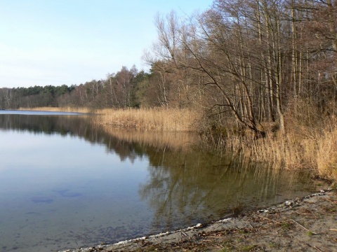 Kliknij na zdjęcie, żeby zobaczyć w pełnych wymiarach