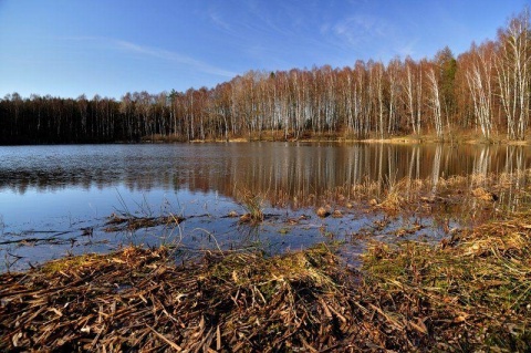 Kliknij na zdjęcie, żeby zobaczyć w pełnych wymiarach