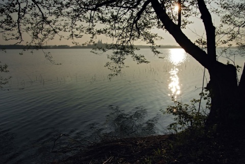 Kliknij na zdjęcie, żeby zobaczyć w pełnych wymiarach