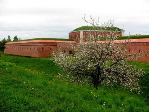 Kliknij na zdjęcie, żeby zobaczyć w pełnych wymiarach