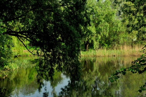 Kliknij na zdjęcie, żeby zobaczyć w pełnych wymiarach