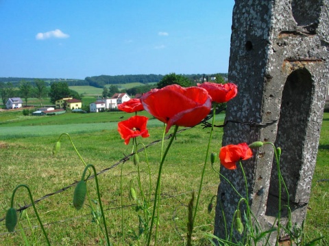 Kliknij na zdjęcie, żeby zobaczyć w pełnych wymiarach