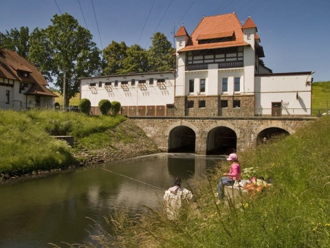 Kliknij na zdjęcie, żeby zobaczyć w pełnych wymiarach