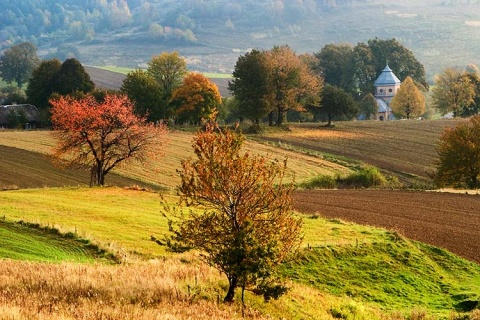 Kliknij na zdjęcie, żeby zobaczyć w pełnych wymiarach