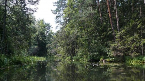 Kliknij na zdjęcie, żeby zobaczyć w pełnych wymiarach