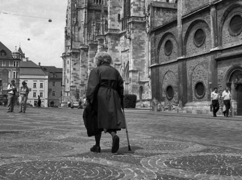 Kliknij na zdjęcie, żeby zobaczyć w pełnych wymiarach