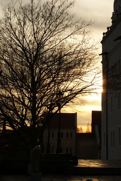 Kliknij na zdjęcie, żeby zobaczyć w pełnych wymiarach