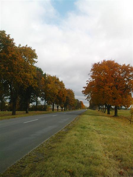 Kliknij na zdjęcie, żeby zobaczyć w pełnych wymiarach