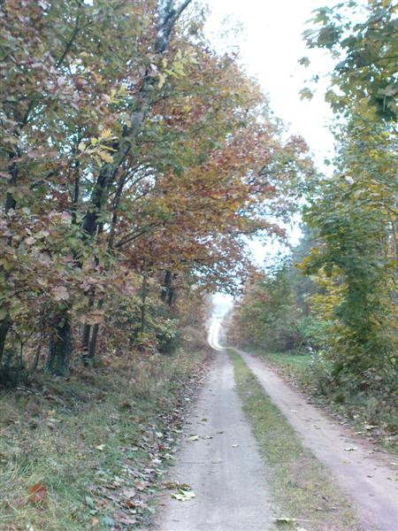 Kliknij na zdjęcie, żeby zobaczyć w pełnych wymiarach