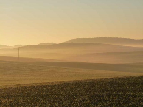 Kliknij na zdjęcie, żeby zobaczyć w pełnych wymiarach