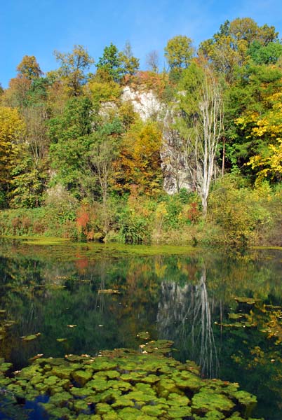 Kliknij na zdjęcie, żeby zobaczyć w pełnych wymiarach