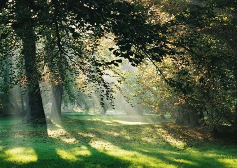 Kliknij na zdjęcie, żeby zobaczyć w pełnych wymiarach