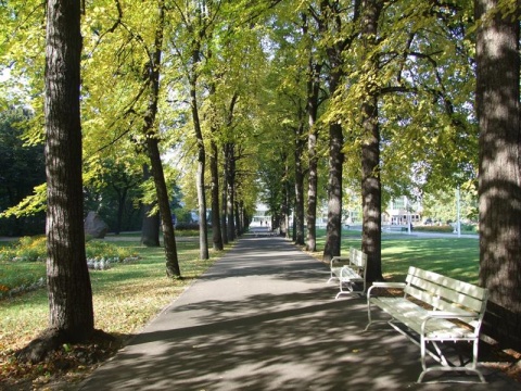 Kliknij na zdjęcie, żeby zobaczyć w pełnych wymiarach