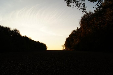 Kliknij na zdjęcie, żeby zobaczyć w pełnych wymiarach