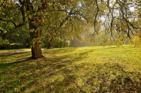 Kliknij na zdjęcie, żeby zobaczyć w pełnych wymiarach