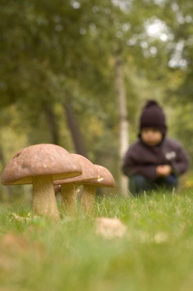 Kliknij na zdjęcie, żeby zobaczyć w pełnych wymiarach