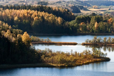 Kliknij na zdjęcie, żeby zobaczyć w pełnych wymiarach