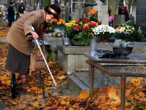 Kliknij na zdjęcie, żeby zobaczyć w pełnych wymiarach