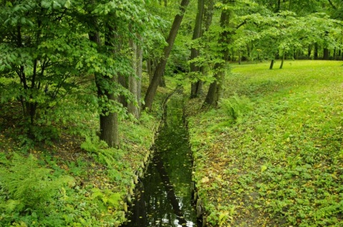 Kliknij na zdjęcie, żeby zobaczyć w pełnych wymiarach