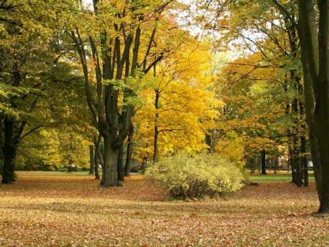 Kliknij na zdjęcie, żeby zobaczyć w pełnych wymiarach