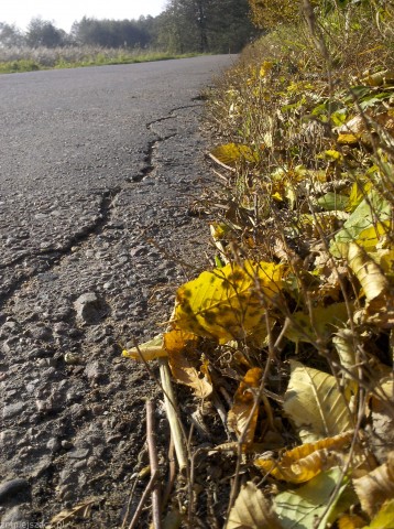 Kliknij na zdjęcie, żeby zobaczyć w pełnych wymiarach