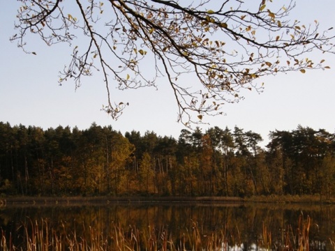 Kliknij na zdjęcie, żeby zobaczyć w pełnych wymiarach