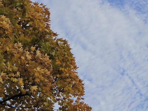 Kliknij na zdjęcie, żeby zobaczyć w pełnych wymiarach