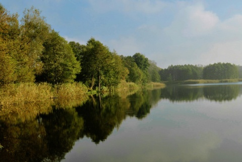 Kliknij na zdjęcie, żeby zobaczyć w pełnych wymiarach