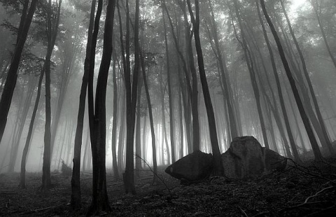 Kliknij na zdjęcie, żeby zobaczyć w pełnych wymiarach