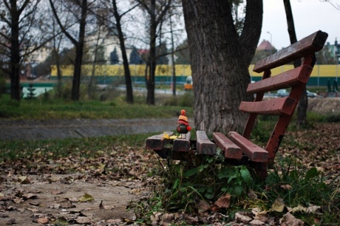 Kliknij na zdjęcie, żeby zobaczyć w pełnych wymiarach