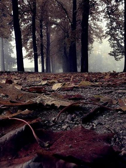 Kliknij na zdjęcie, żeby zobaczyć w pełnych wymiarach