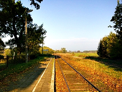 Kliknij na zdjęcie, żeby zobaczyć w pełnych wymiarach