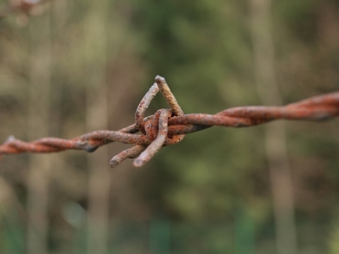 Kliknij na zdjęcie, żeby zobaczyć w pełnych wymiarach