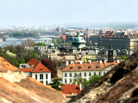 Kliknij na zdjęcie, żeby zobaczyć w pełnych wymiarach