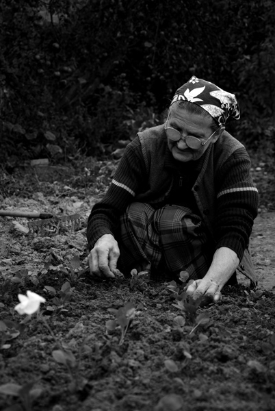 Kliknij na zdjęcie, żeby zobaczyć w pełnych wymiarach