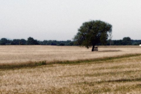 Kliknij na zdjęcie, żeby zobaczyć w pełnych wymiarach