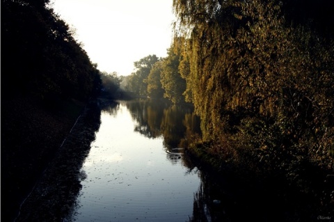 Kliknij na zdjęcie, żeby zobaczyć w pełnych wymiarach