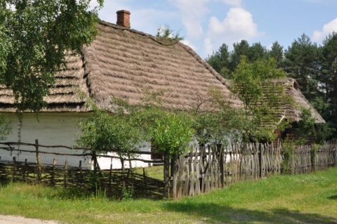 Kliknij na zdjęcie, żeby zobaczyć w pełnych wymiarach