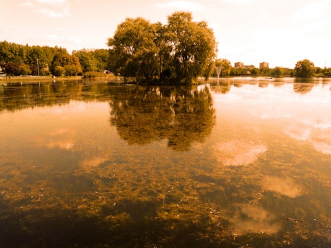 Kliknij na zdjęcie, żeby zobaczyć w pełnych wymiarach