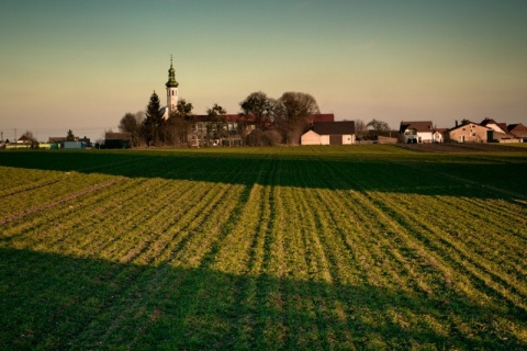 Kliknij na zdjęcie, żeby zobaczyć w pełnych wymiarach