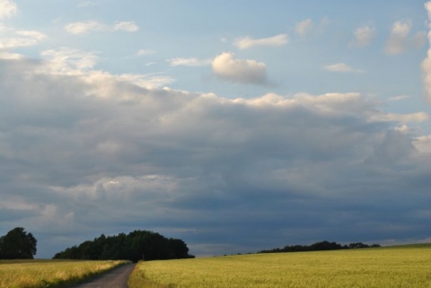 Kliknij na zdjęcie, żeby zobaczyć w pełnych wymiarach