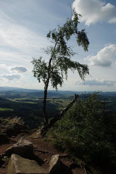 Kliknij na zdjęcie, żeby zobaczyć w pełnych wymiarach