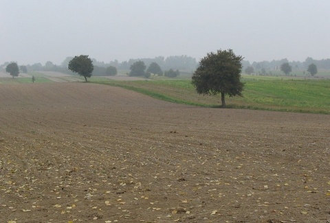 Kliknij na zdjęcie, żeby zobaczyć w pełnych wymiarach