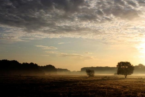 Kliknij na zdjęcie, żeby zobaczyć w pełnych wymiarach