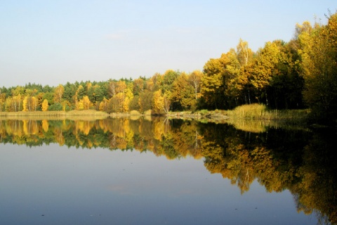 Kliknij na zdjęcie, żeby zobaczyć w pełnych wymiarach