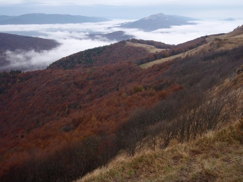 Kliknij na zdjęcie, żeby zobaczyć w pełnych wymiarach