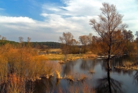 Kliknij na zdjęcie, żeby zobaczyć w pełnych wymiarach