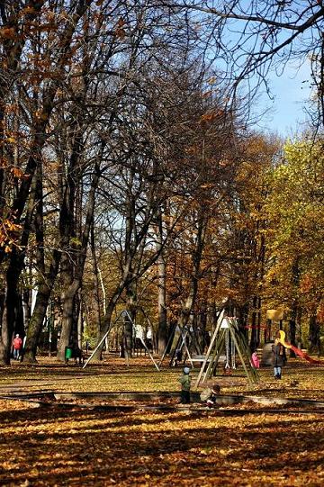 Kliknij na zdjęcie, żeby zobaczyć w pełnych wymiarach