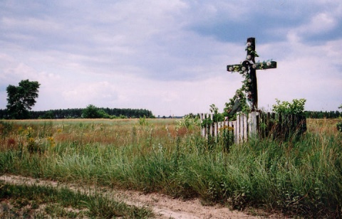 Kliknij na zdjęcie, żeby zobaczyć w pełnych wymiarach