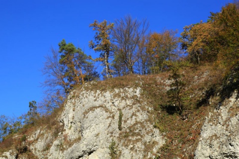 Kliknij na zdjęcie, żeby zobaczyć w pełnych wymiarach